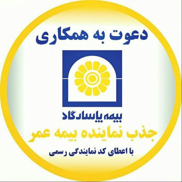 بیمه پاسارگاد