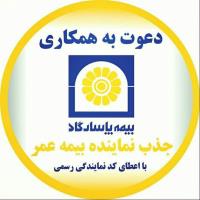 بیمه پاسارگاد-نمایندگی بیمه عمر پاسارگاد 