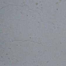 سنگ مرمریت جوشقان شهیادی